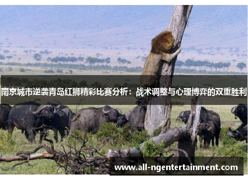 南京城市逆袭青岛红狮精彩比赛分析：战术调整与心理博弈的双重胜利
