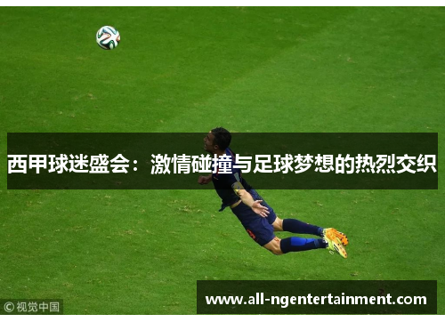 西甲球迷盛会：激情碰撞与足球梦想的热烈交织
